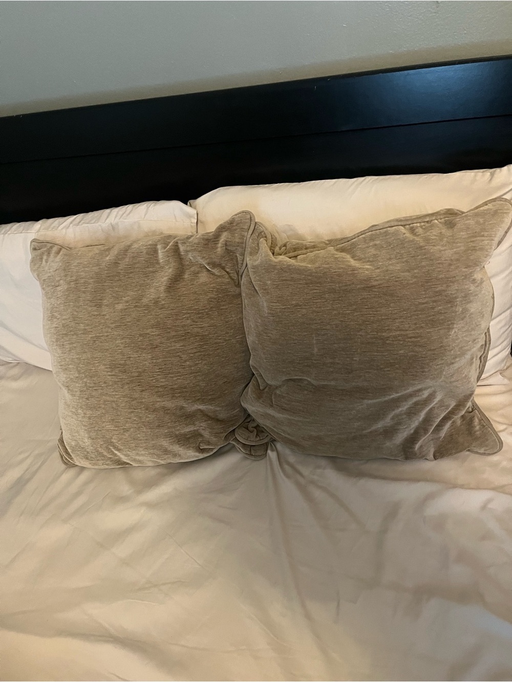 Beige Accent Pillows Set of 2